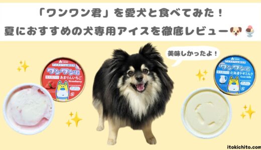 下のソーシャルリンクからフォロー